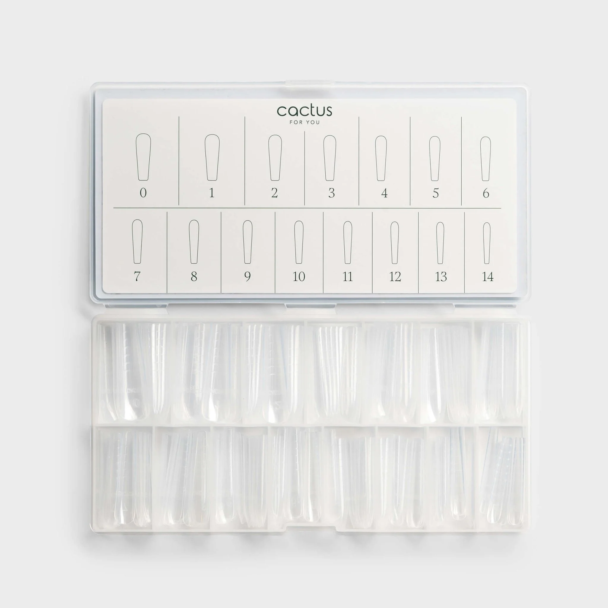 Dual Form Ballerina Arcuata - 150 pcs - Image 5