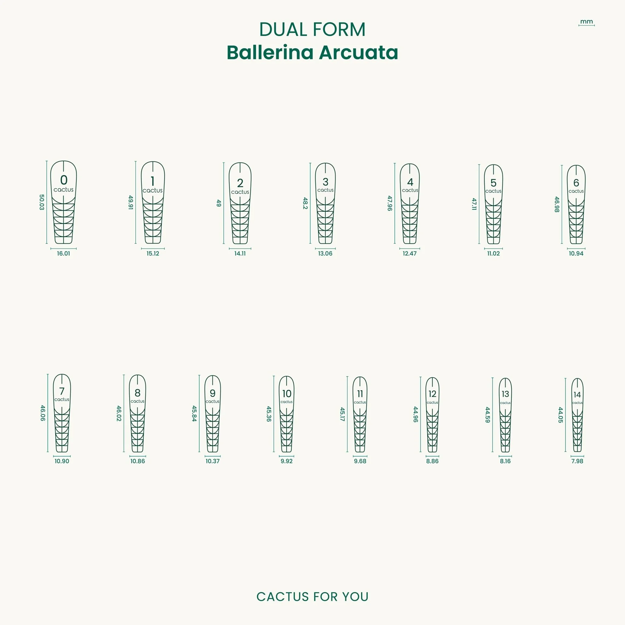 Dual Form Ballerina Arcuata - 150 pcs - Image 6