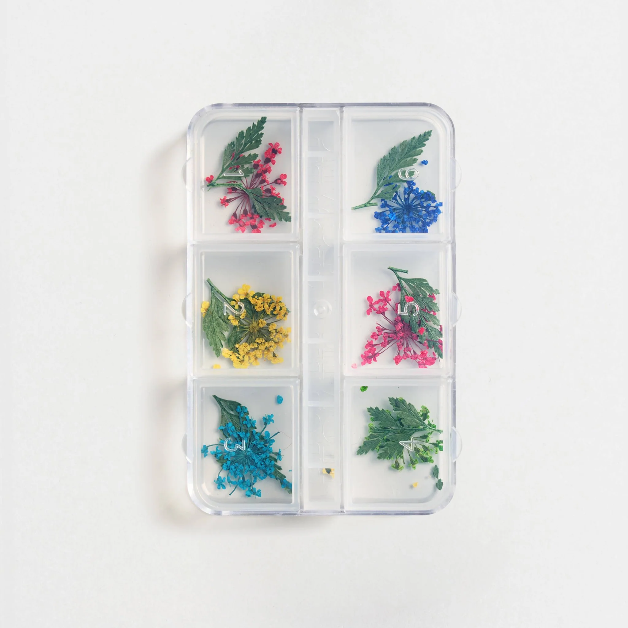 Fiori secchi - 6 pack - Image 2