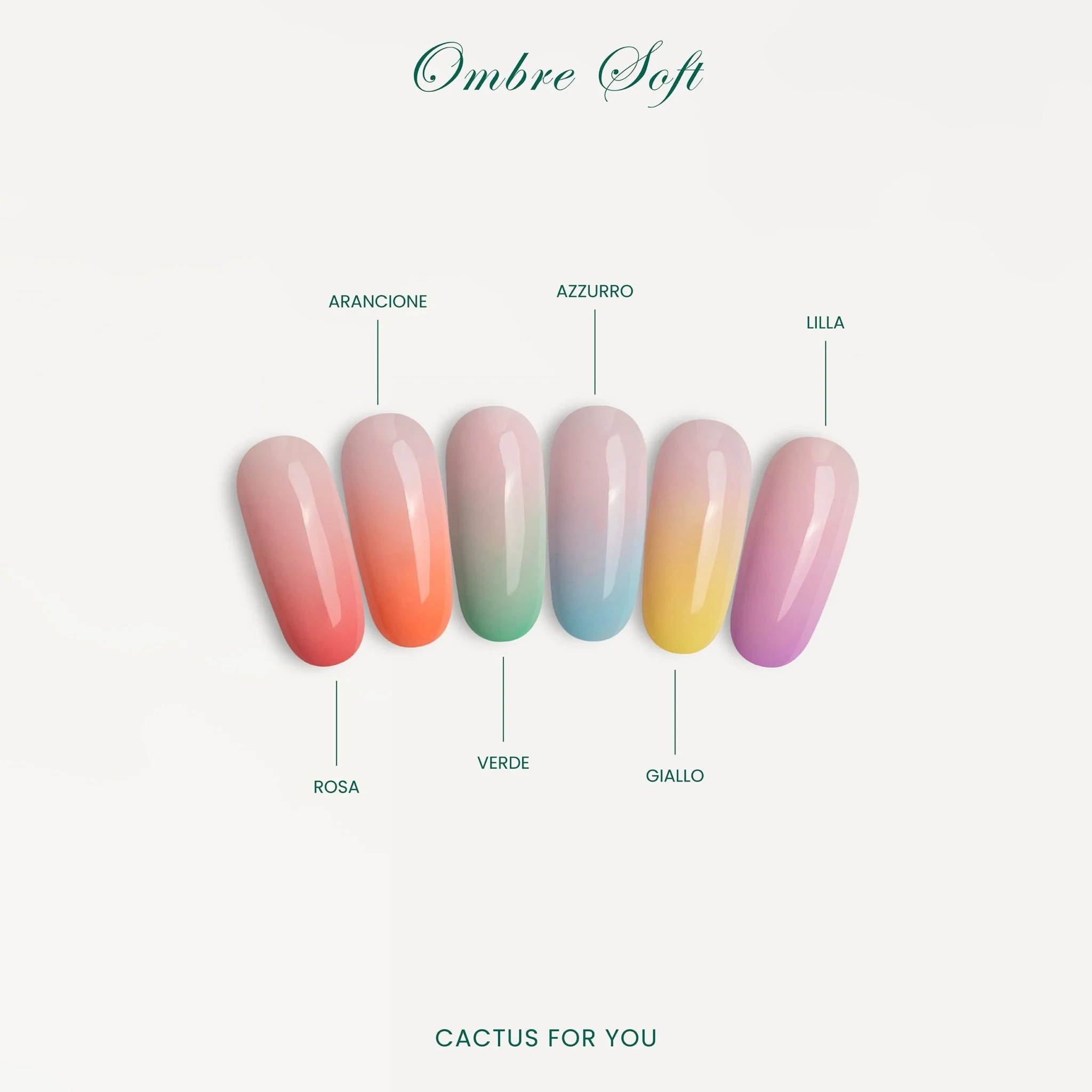 OMBRE PALETTE - Image 3
